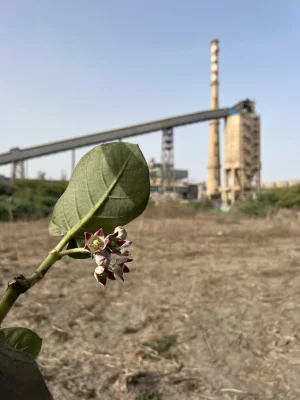 Ecologies contestées