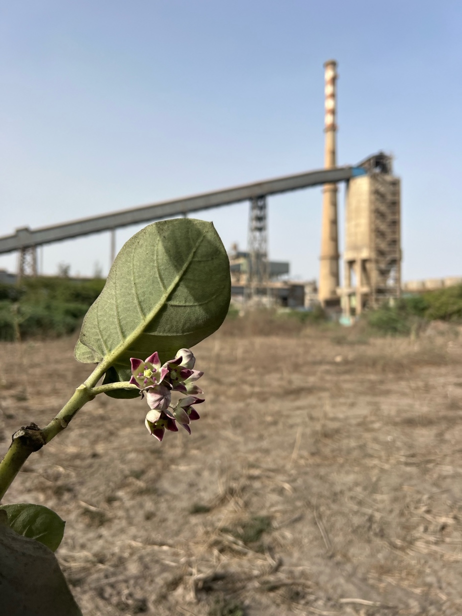 6fc2c659-2d99-4207-a35a-6725344b9933